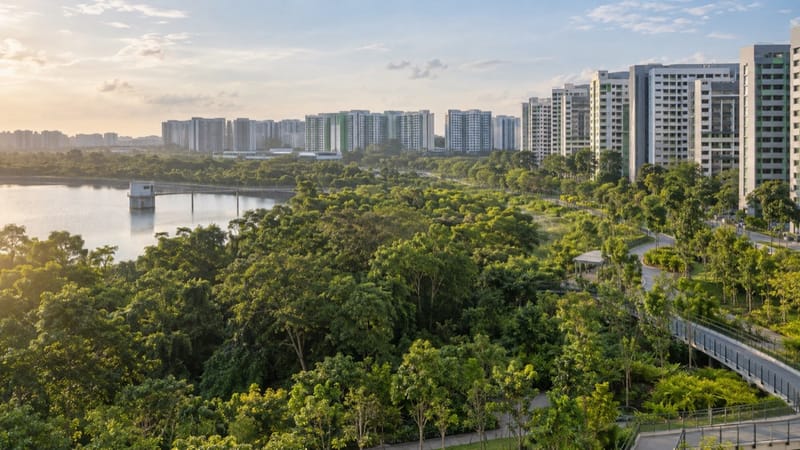Tengah Turned 5.4ha of Housing Land Into Parkland. Nature Actually Won This Round